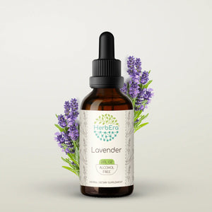 Lavender Tincture herbera Lavender Tincture herbera Herbal Extract