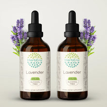 Load image into Gallery viewer, Lavender Tincture herbera Lavender Tincture herbera Herbal Extract