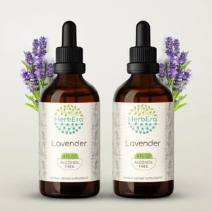 Lavender Tincture herbera Lavender Tincture herbera Herbal Extract