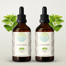 Load image into Gallery viewer, Lemon Balm Tincture herbera Lemon Balm Tincture herbera Herbal Extract