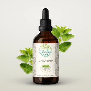 Lemon Balm Tincture herbera Lemon Balm Tincture herbera Herbal Extract