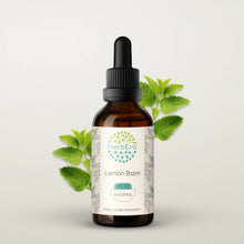 Load image into Gallery viewer, Lemon Balm Tincture herbera Lemon Balm Tincture herbera Herbal Extract