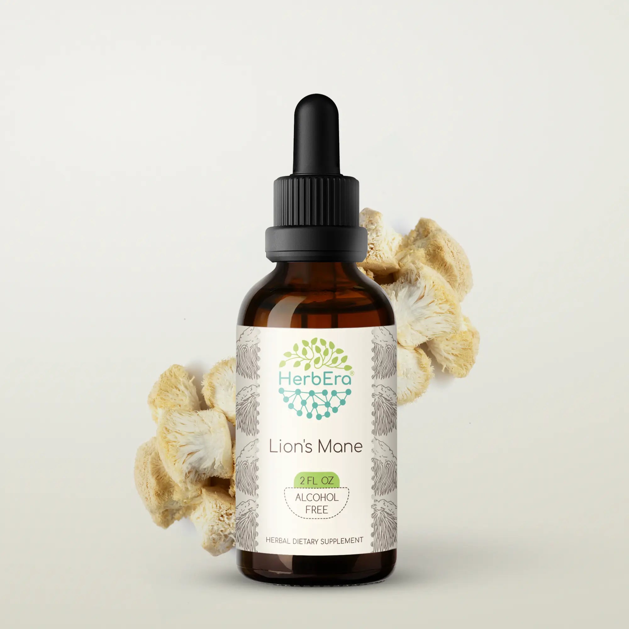 Lion's Mane Tincture