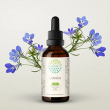 Load image into Gallery viewer, Lobelia Tincture herbera Lobelia Tincture herbera Herbal Extract