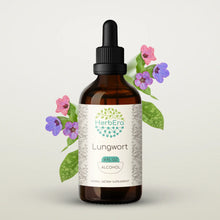 Load image into Gallery viewer, Lungwort Tincture herbera Lungwort Tincture herbera Herbal Extract