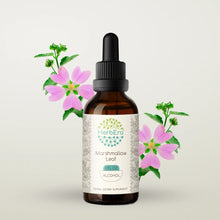 Load image into Gallery viewer, Marshmallow Leaf Tincture herbera Marshmallow Leaf Tincture herbera Herbal Extract