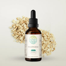 Load image into Gallery viewer, Marshmallow Tincture herbera Marshmallow Tincture herbera Herbal Extract