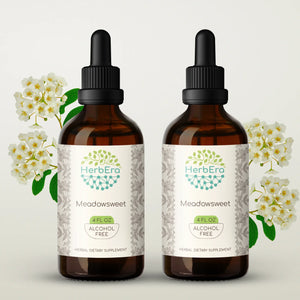 Meadowsweet Tincture herbera Meadowsweet Tincture herbera Herbal Extract