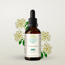 Load image into Gallery viewer, Meadowsweet Tincture herbera Meadowsweet Tincture herbera Herbal Extract