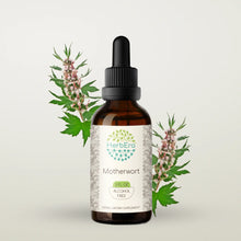 Load image into Gallery viewer, Motherwort Tincture herbera Motherwort Tincture herbera Herbal Extract