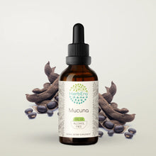 Load image into Gallery viewer, Mucuna Tincture herbera Mucuna Tincture herbera Herbal Extract