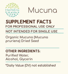 Mucuna Tincture herbera Mucuna Tincture herbera Herbal Extract