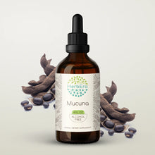 Load image into Gallery viewer, Mucuna Tincture herbera Mucuna Tincture herbera Herbal Extract