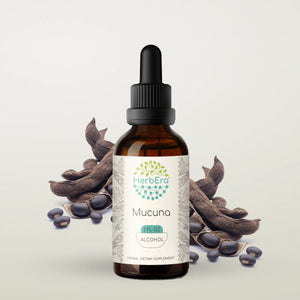 Mucuna Tincture herbera Mucuna Tincture herbera Herbal Extract