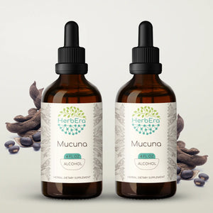 Mucuna Tincture herbera Mucuna Tincture herbera Herbal Extract