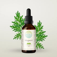 Load image into Gallery viewer, Mugwort Tincture herbera Mugwort Tincture herbera Herbal Extract