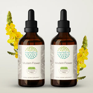 Mullein Flower Tincture herbera Mullein Flower Tincture herbera Herbal Extract