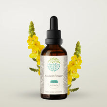 Load image into Gallery viewer, Mullein Flower Tincture herbera Mullein Flower Tincture herbera Herbal Extract