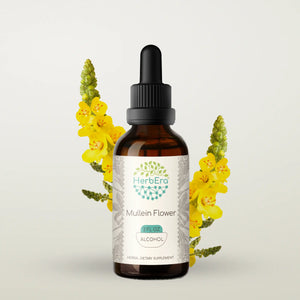 Mullein Flower Tincture herbera Mullein Flower Tincture herbera Herbal Extract