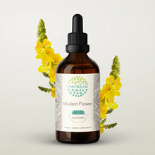 Load image into Gallery viewer, Mullein Flower Tincture herbera Mullein Flower Tincture herbera Herbal Extract