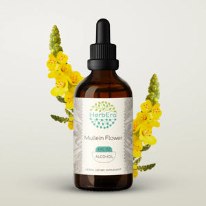 Mullein Flower Tincture herbera Mullein Flower Tincture herbera Herbal Extract