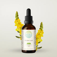 Load image into Gallery viewer, Mullein Leaf Tincture herbera Mullein Leaf Tincture herbera Herbal Extract