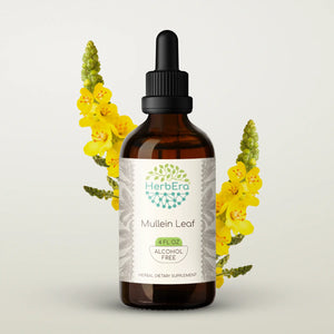 Mullein Leaf Tincture herbera Mullein Leaf Tincture herbera Herbal Extract