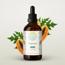 Load image into Gallery viewer, Papaya Tincture herbera Papaya Tincture herbera Herbal Extract