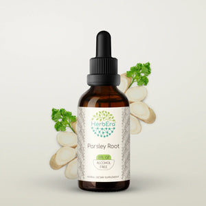 Parsley Root Tincture herbera Parsley Root Tincture herbera Herbal Extract