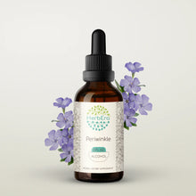 Load image into Gallery viewer, Periwinkle Tincture herbera Periwinkle Tincture herbera Herbal Extract