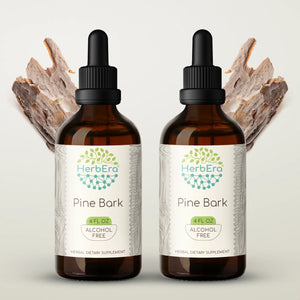 Pine Bark Tincture herbera Pine Bark Tincture herbera Herbal Extract