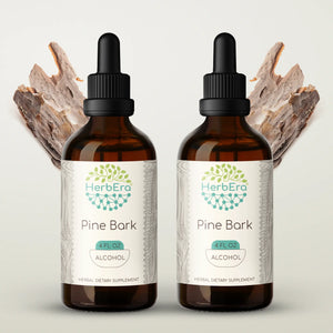 Pine Bark Tincture herbera Pine Bark Tincture herbera Herbal Extract