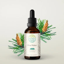 Load image into Gallery viewer, Buy Pine Pollen Tincture online - HerbEra