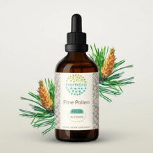 Load image into Gallery viewer, Buy Pine Pollen Tincture online - HerbEra