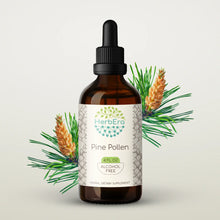 Load image into Gallery viewer, Pine Pollen Tincture herbera Pine Pollen Tincture herbera Herbal Extract