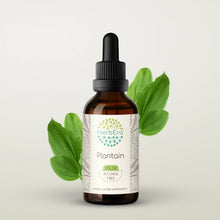 Load image into Gallery viewer, Plantain Tincture herbera Plantain Tincture herbera Herbal Extract