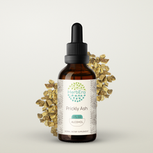 Load image into Gallery viewer, Prickly Ash Tincture
