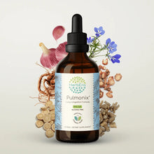 Load image into Gallery viewer, Buy Pulmonix Tincture online - HerbEra