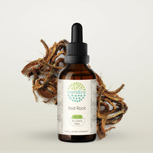 Load image into Gallery viewer, Red Root Tincture herbera Red Root Tincture herbera Herbal Extract