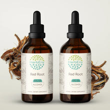 Load image into Gallery viewer, Red Root Tincture herbera Red Root Tincture herbera Herbal Extract