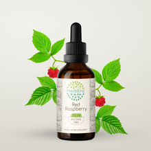 Load image into Gallery viewer, Red Raspberry Tincture