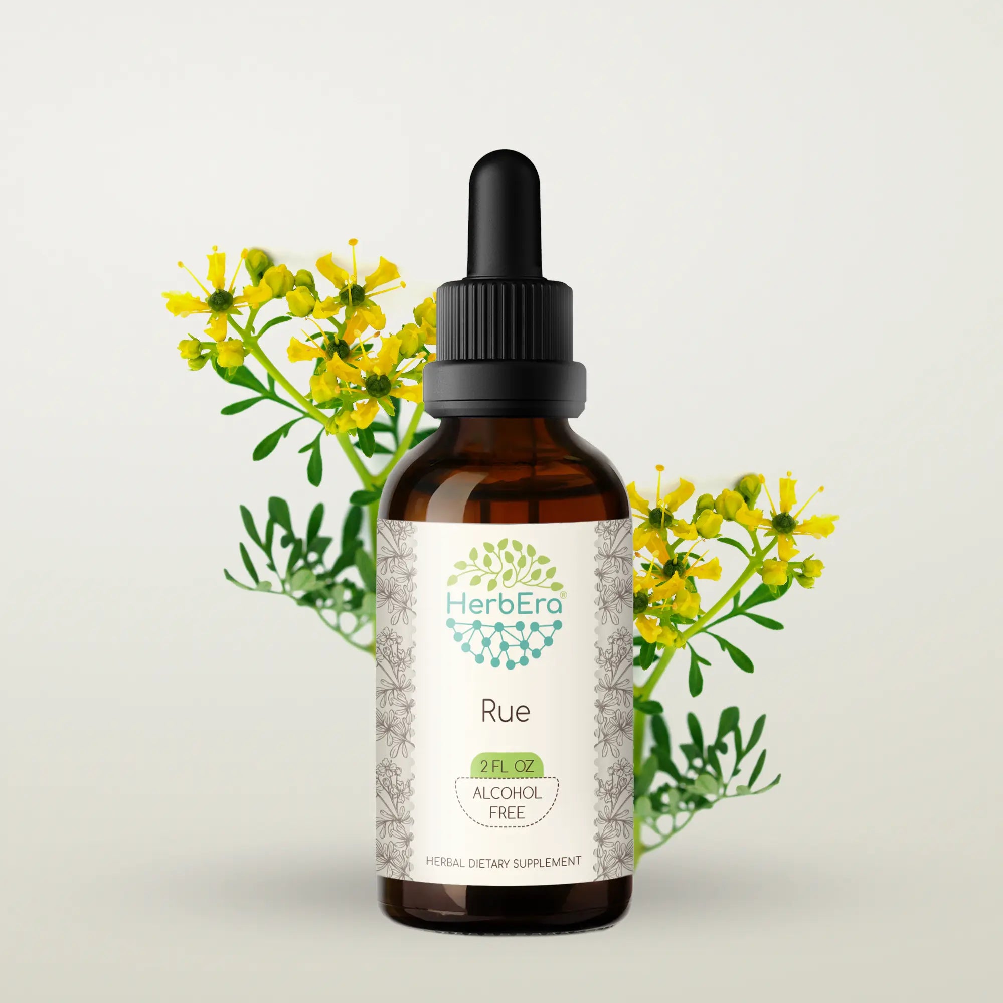 Rue Tincture