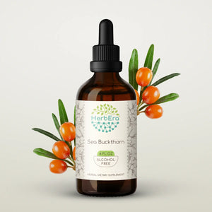 Sea Buckthorn Tincture herbera Sea Buckthorn Tincture herbera Herbal Extract