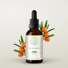 Load image into Gallery viewer, Sea Buckthorn Tincture herbera Sea Buckthorn Tincture herbera Herbal Extract