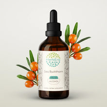 Load image into Gallery viewer, Sea Buckthorn Tincture herbera Sea Buckthorn Tincture herbera Herbal Extract