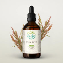 Load image into Gallery viewer, Sheep Sorrel Tincture herbera Sheep Sorrel Tincture herbera Herbal Extract