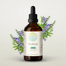 Load image into Gallery viewer, Skullcap Tincture herbera Skullcap Tincture herbera Herbal Extract