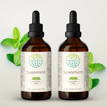 Load image into Gallery viewer, Spearmint Tincture herbera Spearmint Tincture herbera Herbal Extract