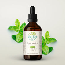 Load image into Gallery viewer, Spearmint Tincture herbera Spearmint Tincture herbera Herbal Extract