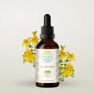 St. John's Wort Tincture herbera St. John's Wort Tincture herbera Herbal Extract